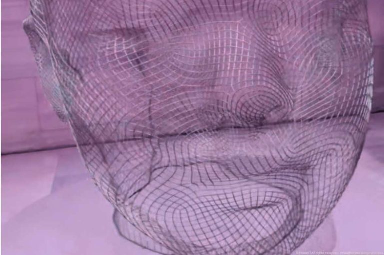 Wire mesh face sculpture representing facial anatomy mapping in minimally invasive aesthetic treatments for the corrective patient archetype
