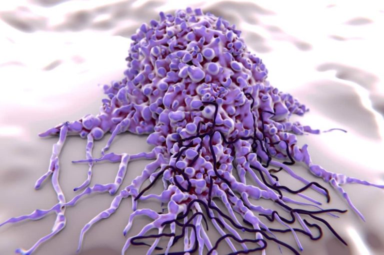 3D rendering of a purple macrophage immune cell extending tendrils over a smooth surface, representing the body's cellular response to hyaluronic acid fillers.